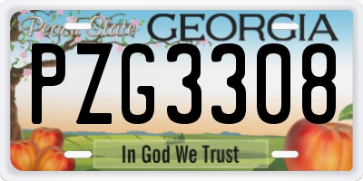 GA license plate PZG3308