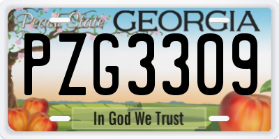 GA license plate PZG3309