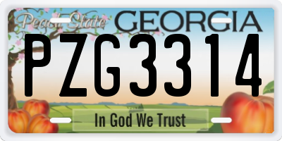 GA license plate PZG3314