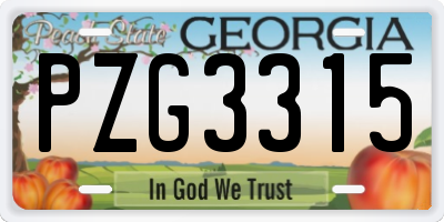 GA license plate PZG3315
