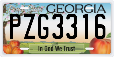 GA license plate PZG3316