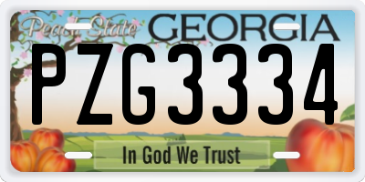 GA license plate PZG3334