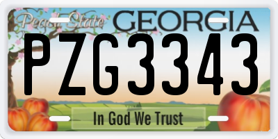 GA license plate PZG3343