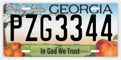 GA license plate PZG3344