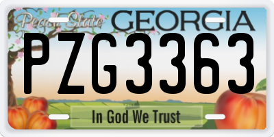 GA license plate PZG3363