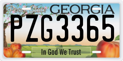 GA license plate PZG3365