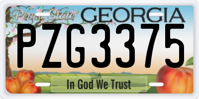 GA license plate PZG3375