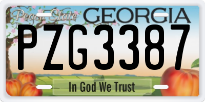 GA license plate PZG3387