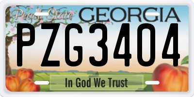 GA license plate PZG3404