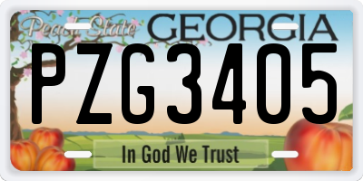 GA license plate PZG3405