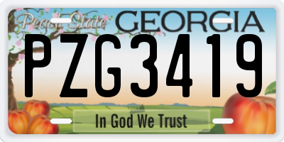 GA license plate PZG3419