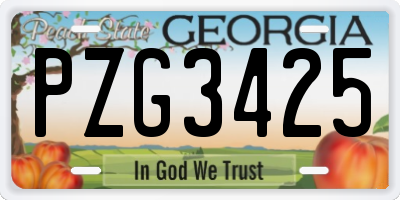 GA license plate PZG3425