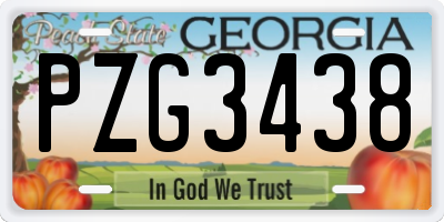 GA license plate PZG3438