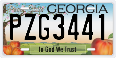 GA license plate PZG3441