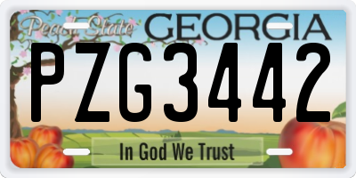 GA license plate PZG3442