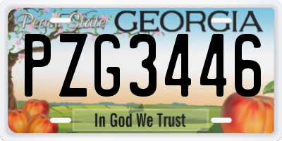 GA license plate PZG3446