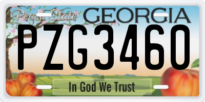 GA license plate PZG3460