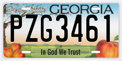 GA license plate PZG3461