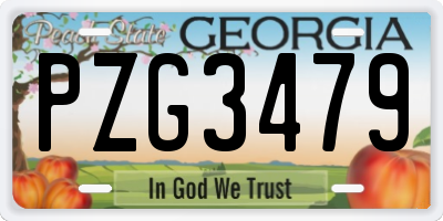 GA license plate PZG3479