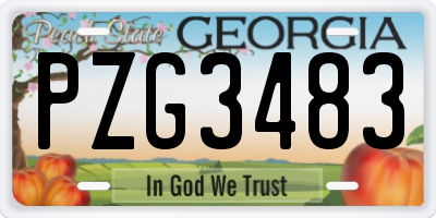 GA license plate PZG3483