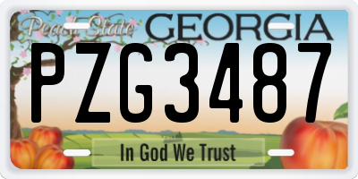 GA license plate PZG3487
