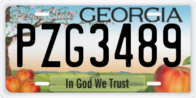 GA license plate PZG3489