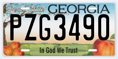 GA license plate PZG3490