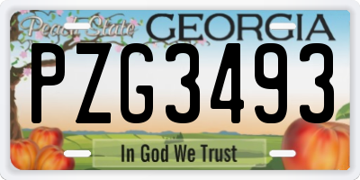 GA license plate PZG3493