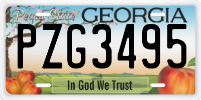 GA license plate PZG3495