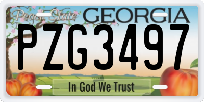 GA license plate PZG3497