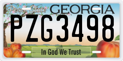 GA license plate PZG3498