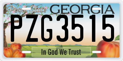 GA license plate PZG3515
