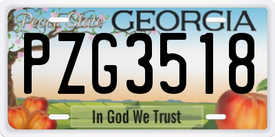 GA license plate PZG3518