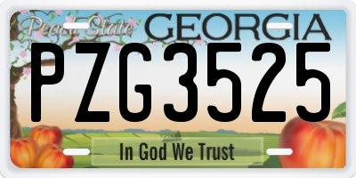 GA license plate PZG3525