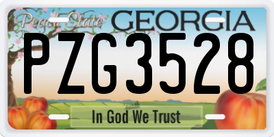 GA license plate PZG3528