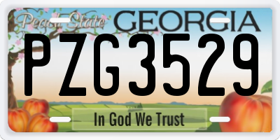GA license plate PZG3529