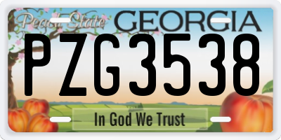 GA license plate PZG3538