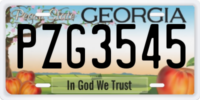 GA license plate PZG3545