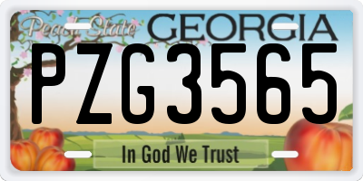 GA license plate PZG3565