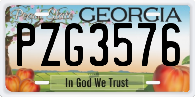 GA license plate PZG3576
