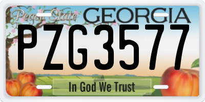 GA license plate PZG3577