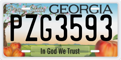 GA license plate PZG3593