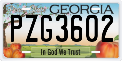 GA license plate PZG3602