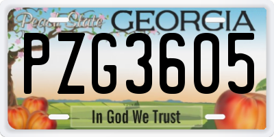 GA license plate PZG3605