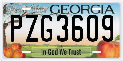 GA license plate PZG3609