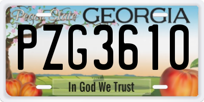 GA license plate PZG3610