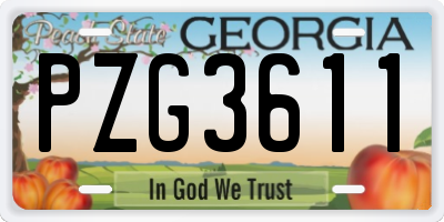 GA license plate PZG3611