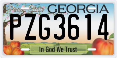 GA license plate PZG3614