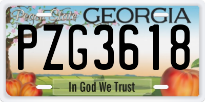 GA license plate PZG3618