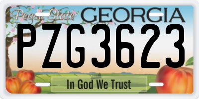 GA license plate PZG3623